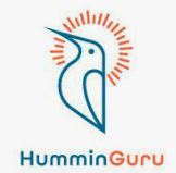 Humminguru_logo